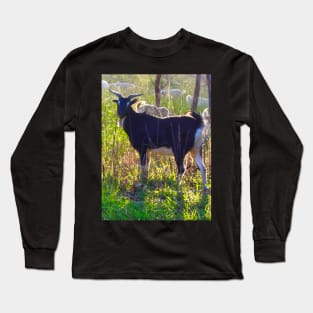 The Goat ! Long Sleeve T-Shirt